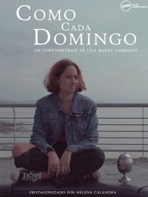 Movie poster "Like Every Sunday"