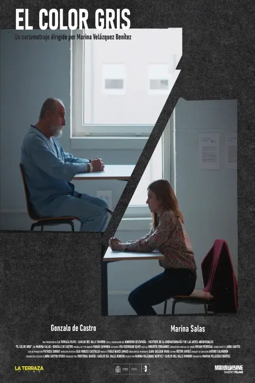 Movie poster "El color gris"