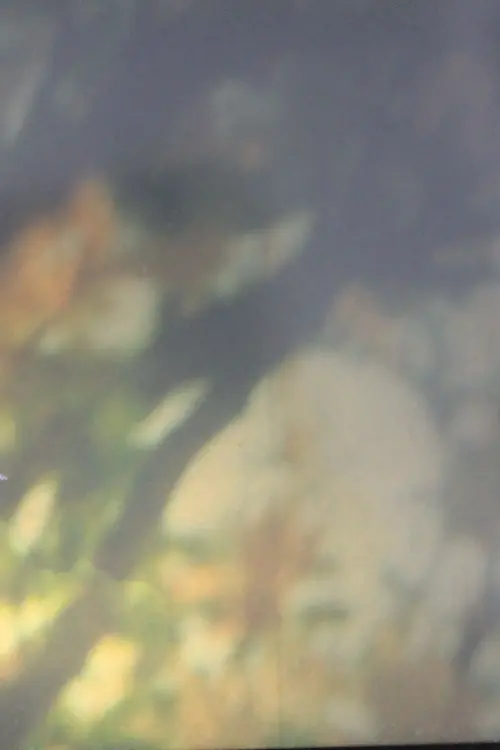 Movie poster "Interlude"