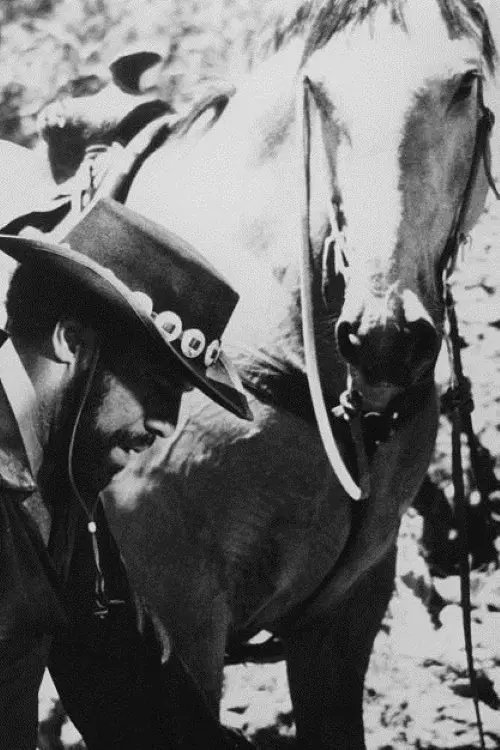 Movie poster "Adiós Amigo"