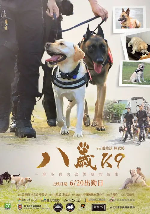 Movie poster "K-9"