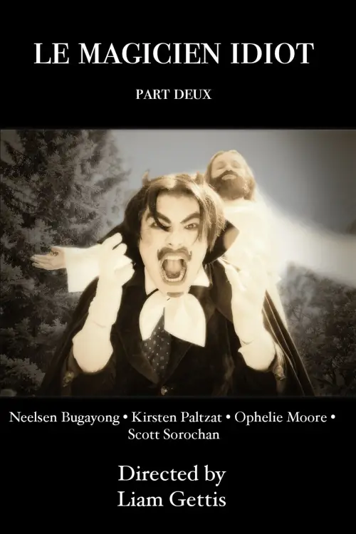 Movie poster "Le Magicien Idiot Part Deux"