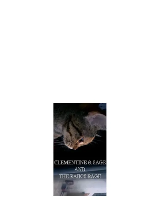 Movie poster "Clementine & Sage and The Rain