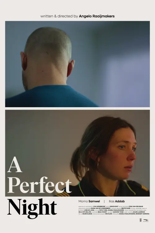 Movie poster "A Perfect Night"