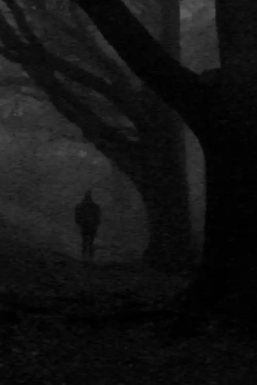 Movie poster "The Horse