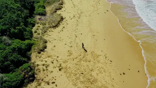 Watch film Comrade | Comrade (2024) | Official Trailer [HD]