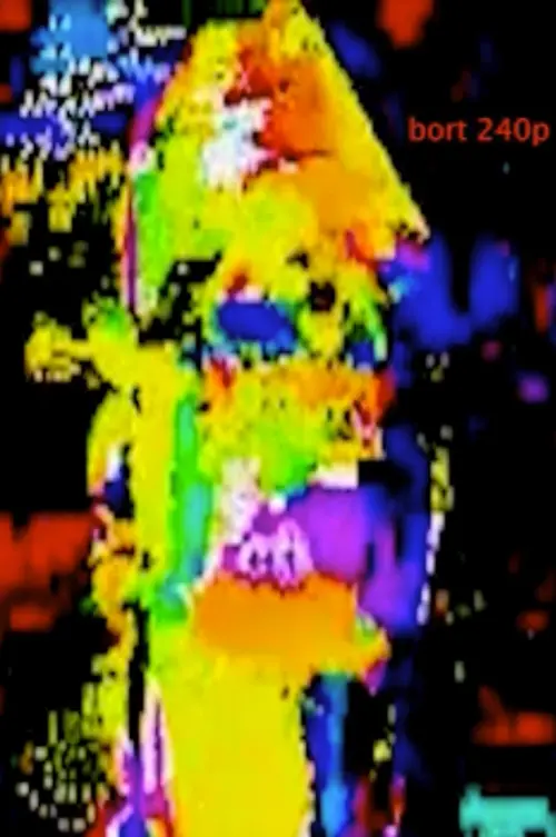 Movie poster "bort 240p"