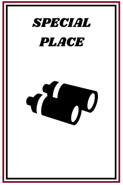 Movie poster "Special Place"