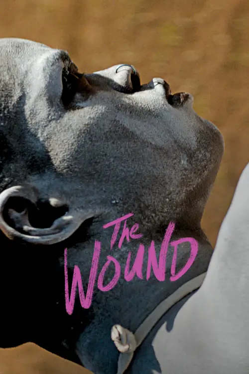 Movie poster "The Wound"