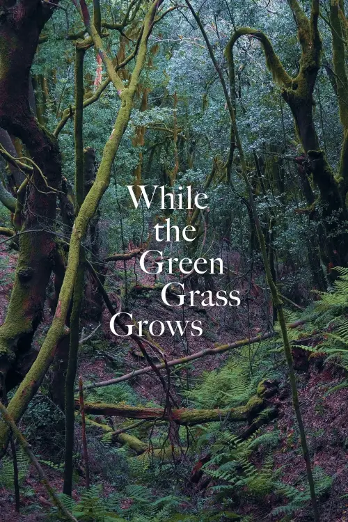 Movie poster "While the Green Grass Grows"