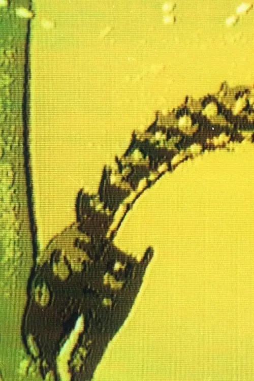 Movie poster "War or Peace?"