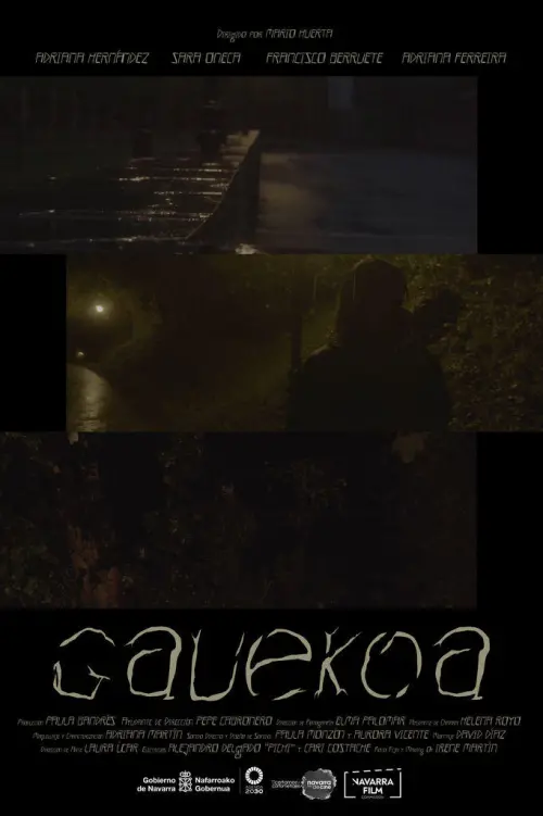 Movie poster "Gauekoa"