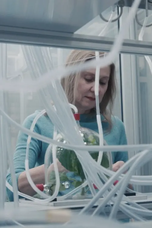 Movie poster "Flying Scents - of Plants and People"