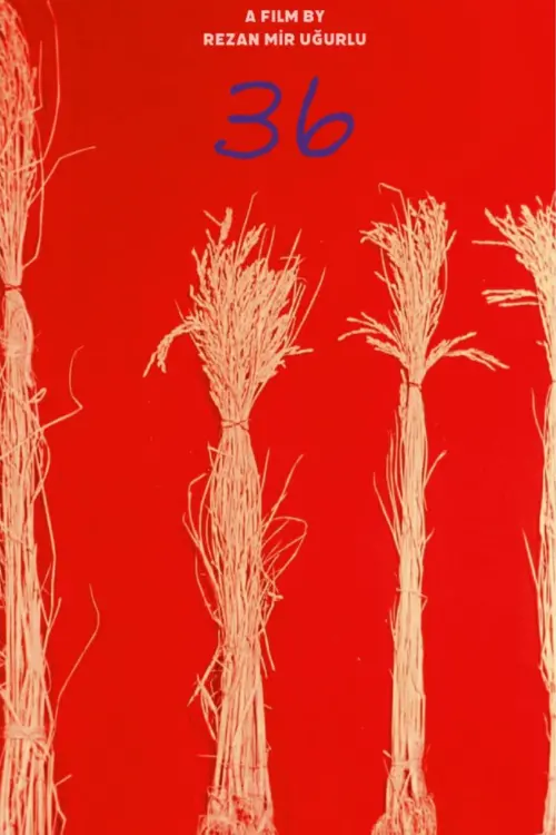 Movie poster "36"