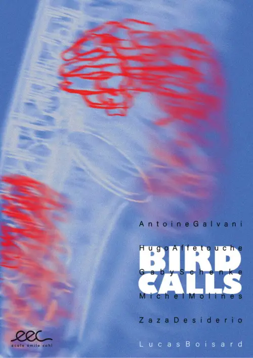 Movie poster "Bird Calls"