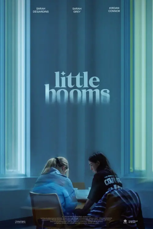 Movie poster "Little Booms"