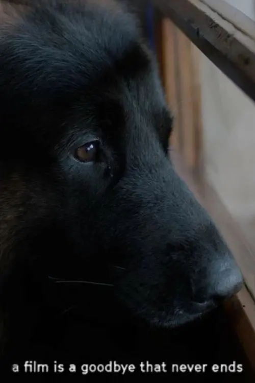 Movie poster "a film is a goodbye that never ends"