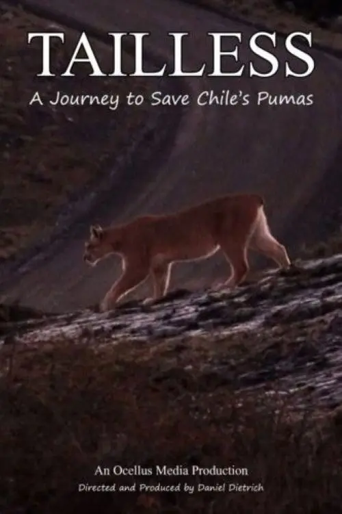 Movie poster "Tailless"