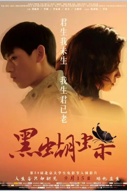 Movie poster "For The Memoy Never Forgotten"