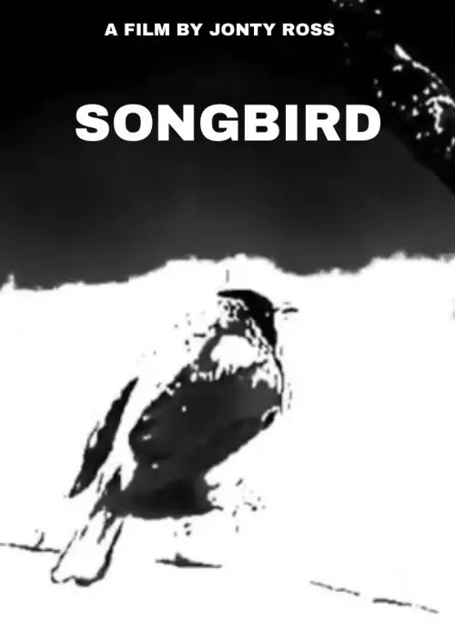 Movie poster "Songbird"