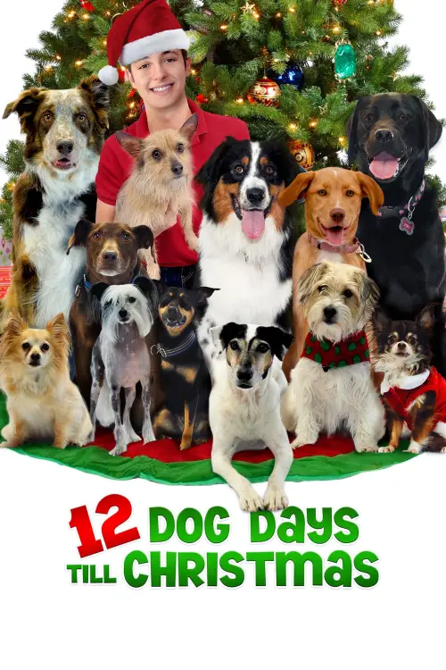 Movie poster "12 Dog Days Till Christmas"