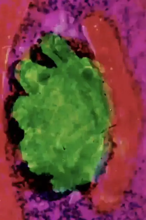 Movie poster "Fusion"