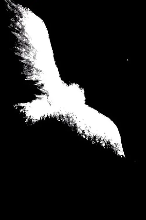 Movie poster "There Was The Moon!"