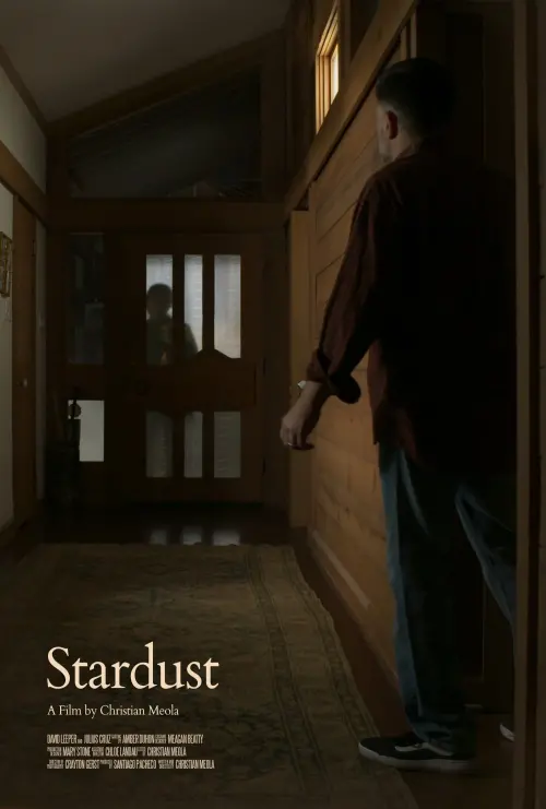 Movie poster "Stardust"
