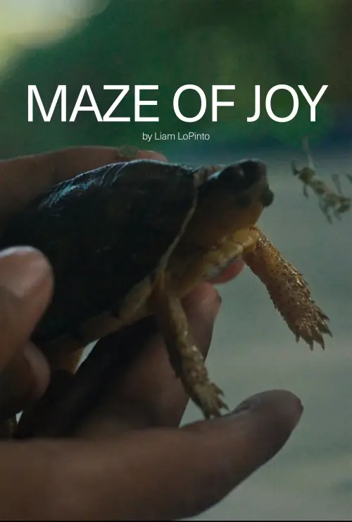 Movie poster "Maze of Joy"