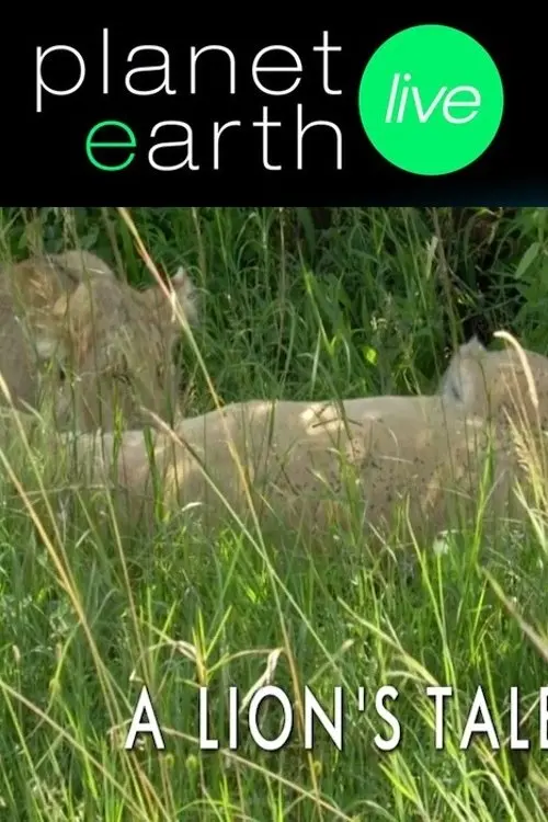 Movie poster "A Lion