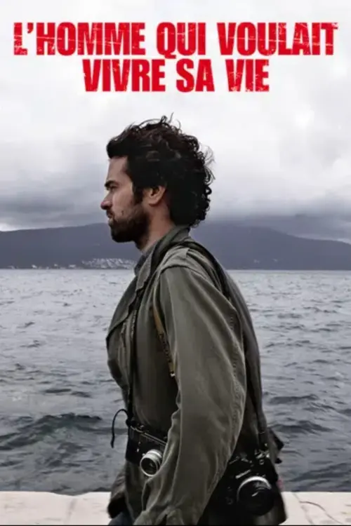 Movie poster "The Big Picture"