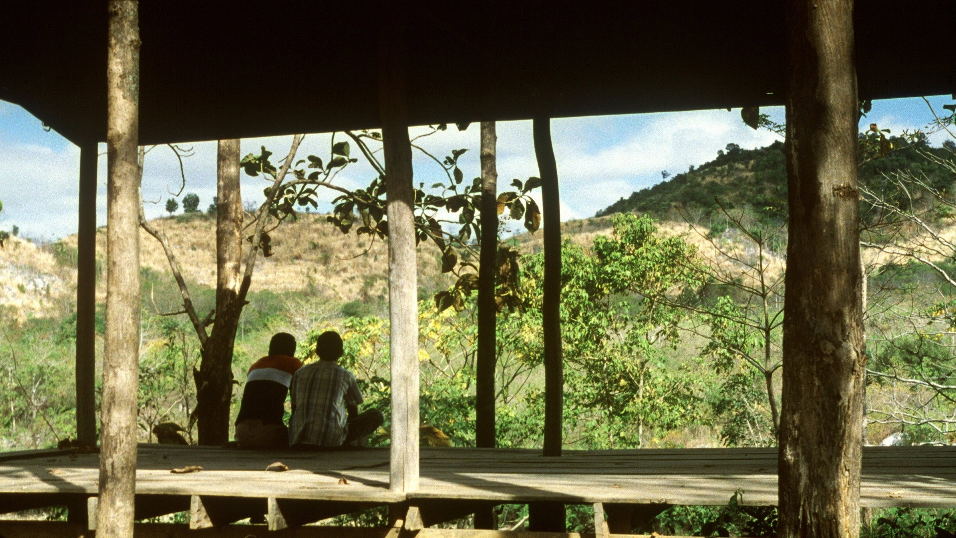 Backdrop to the movie "Tropical Malady" #1091501