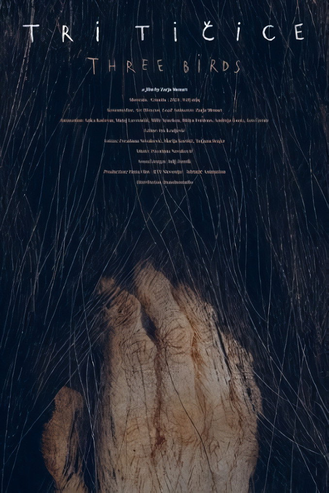 Poster to the movie "Three Birds" #1109325
