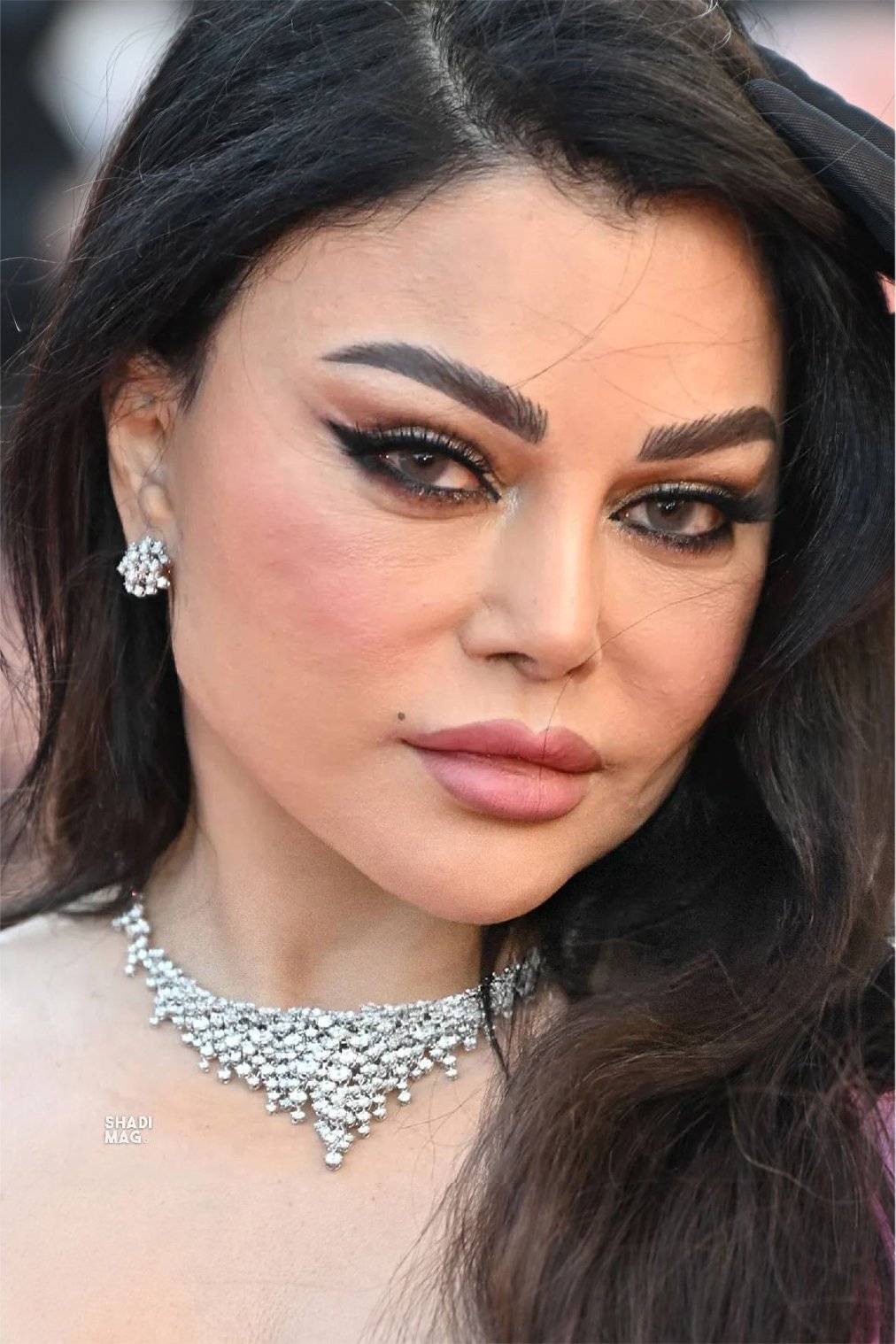Photo Haifa Wehbe
