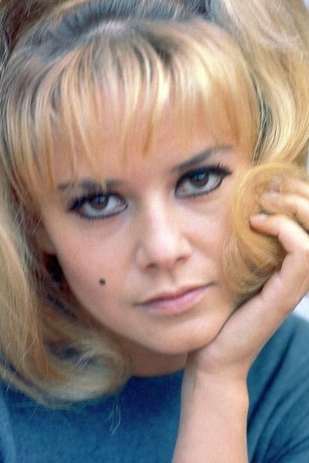 Photo Sophie Daumier