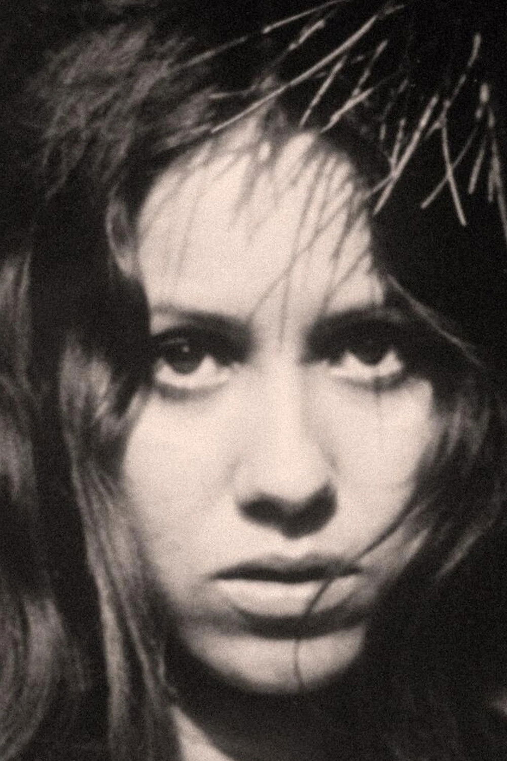 Photo Jeannette Dilger