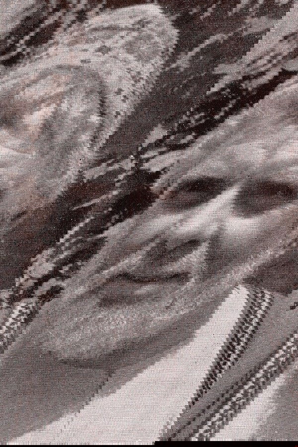 Photo Armando Furlai