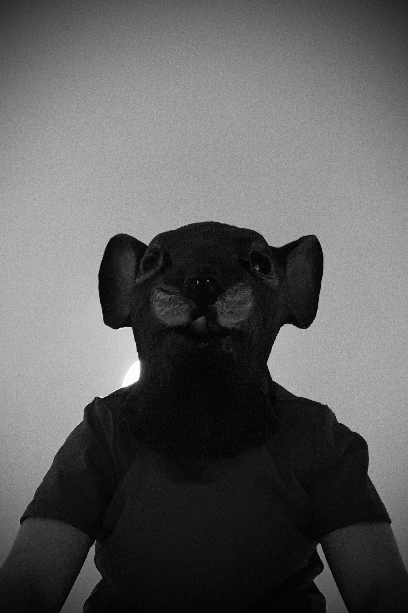 Photo Arty Winnfield