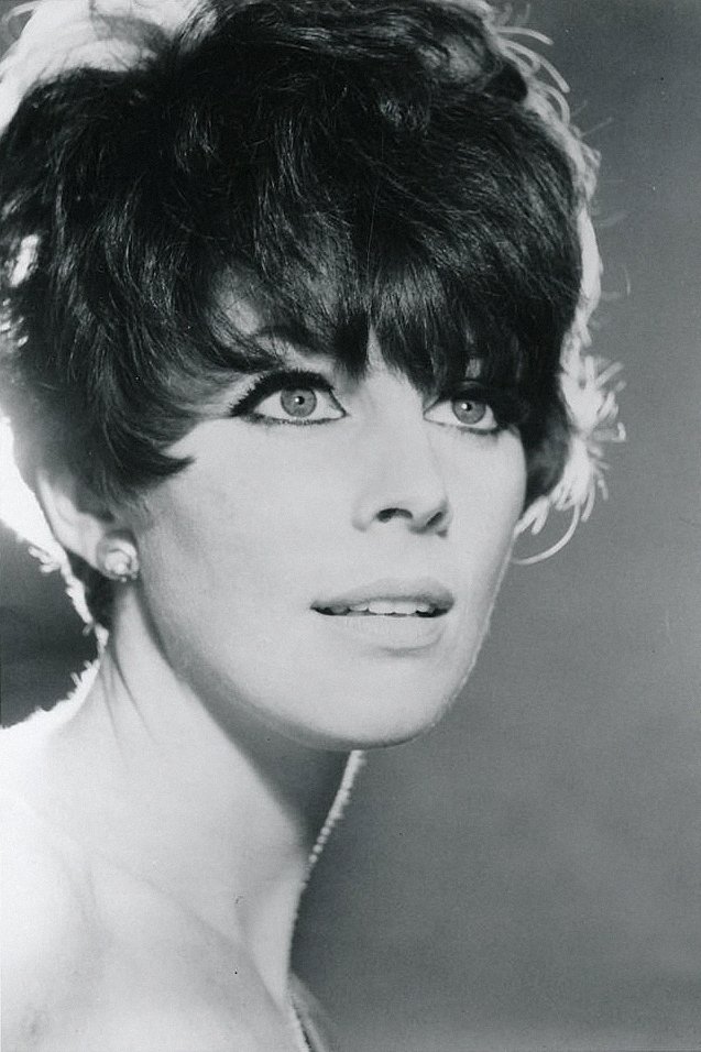 Photo Elizabeth Knowles