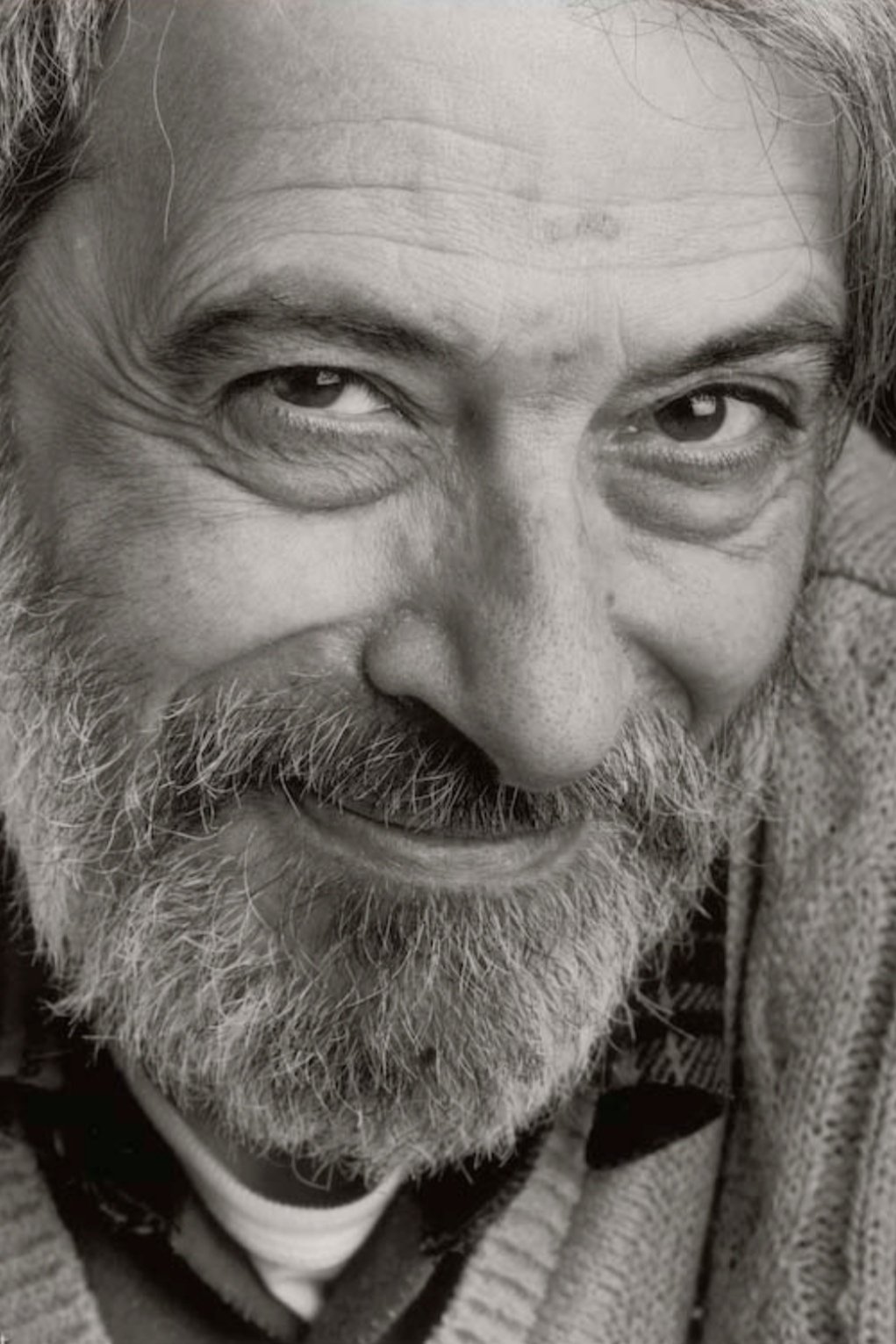 Photo Pier Luigi Zollo