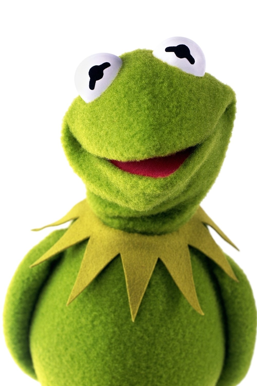 Photo Kermit the Frog