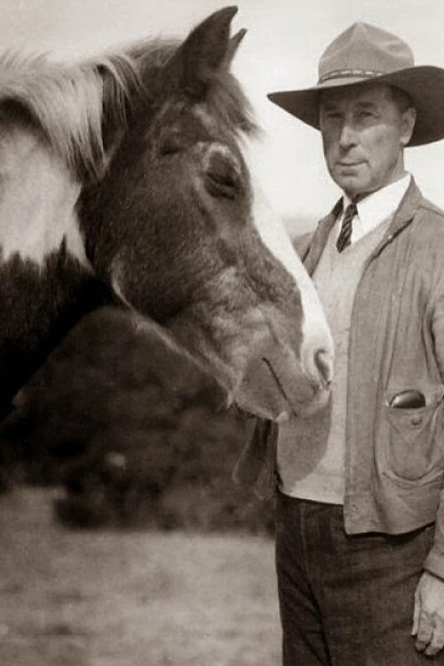 Photo Fritz the Horse