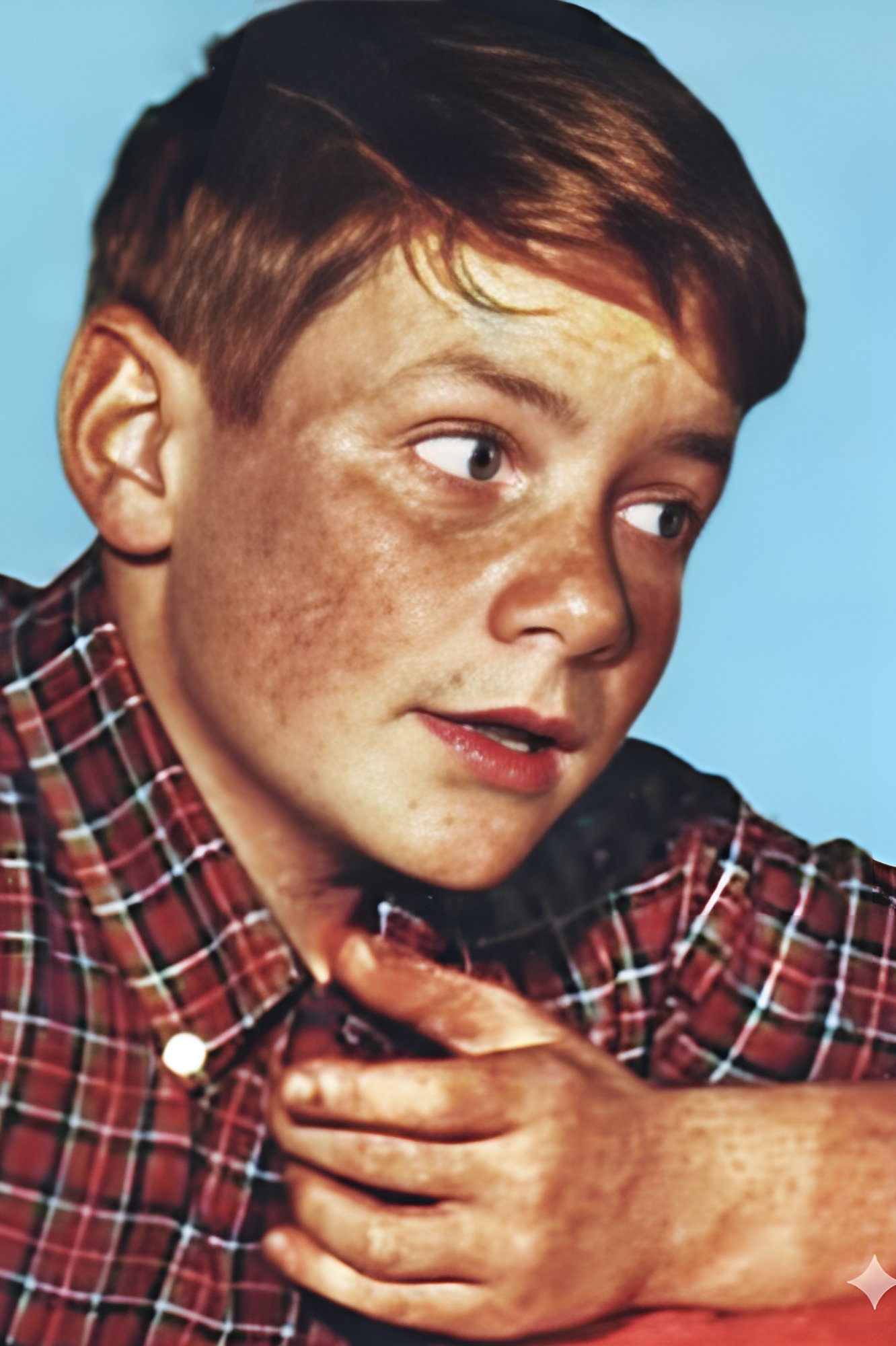Photo Flip Mark