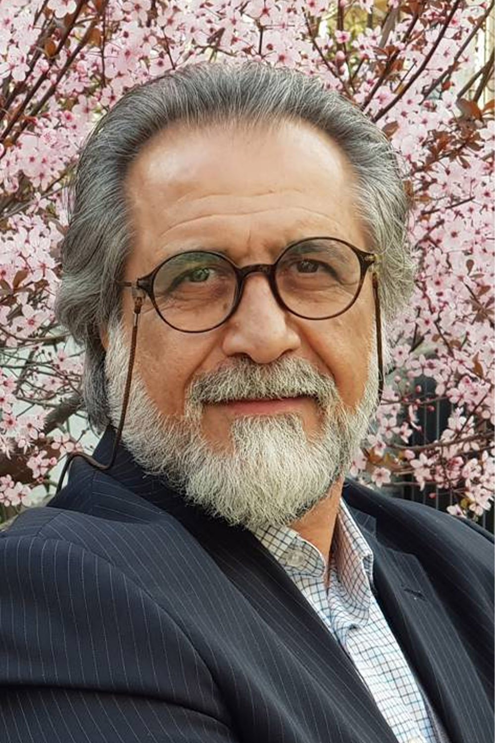 Photo Hassan Zarei
