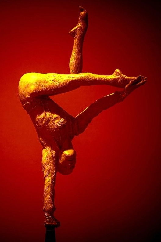 Photo Cirque de Demain