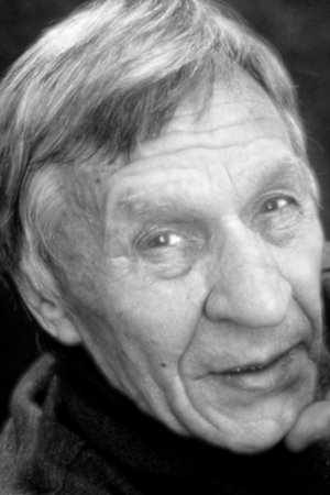 Photo Vladimir Shibankov