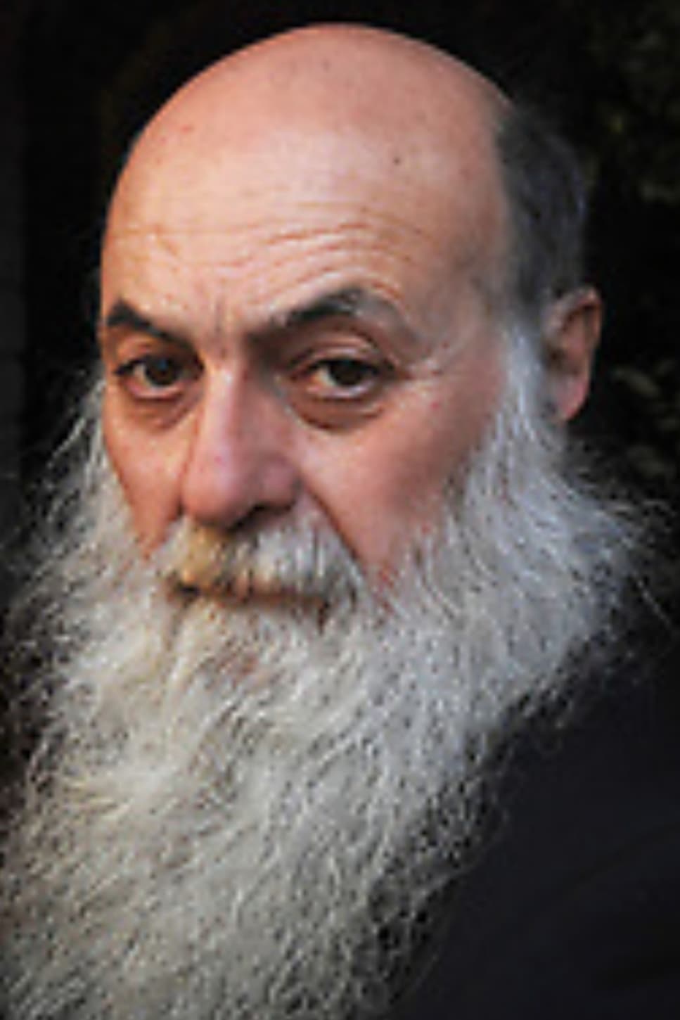 Photo Paolo Zaccagnini