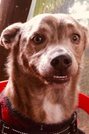 Photo Morfeu Ender de Souza