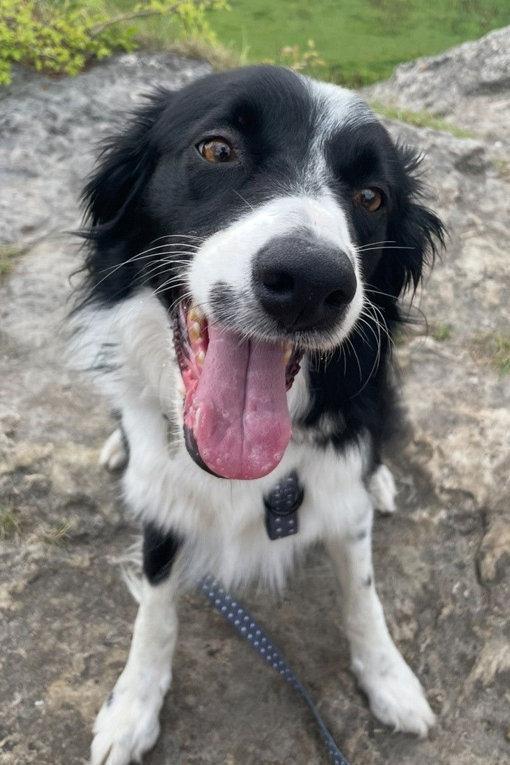 Photo Freddie Johnson