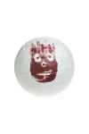 Photo Wilson the Volleyball #396826